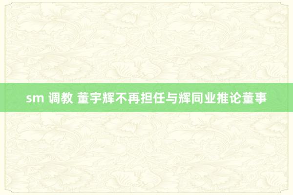 sm 调教 董宇辉不再担任与辉同业推论董事