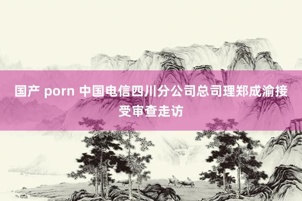 国产 porn 中国电信四川分公司总司理郑成渝接受审查走访