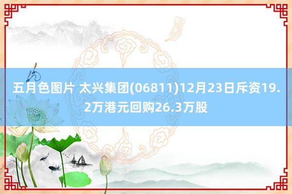 五月色图片 太兴集团(06811)12月23日斥资19.2万港元回购26.3万股