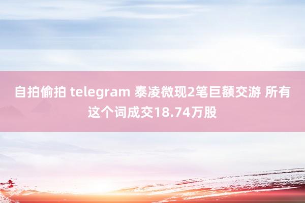 自拍偷拍 telegram 泰凌微现2笔巨额交游 所有这个词成交18.74万股