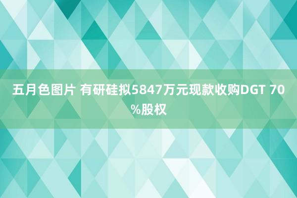 五月色图片 有研硅拟5847万元现款收购DGT 70%股权