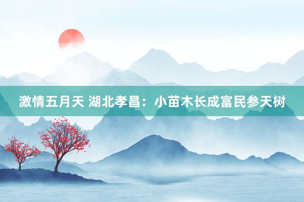 激情五月天 湖北孝昌：小苗木长成富民参天树