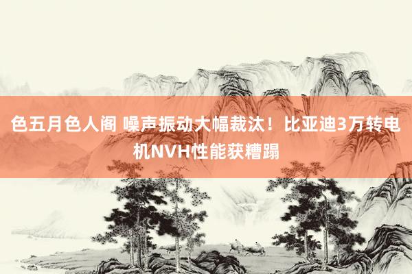 色五月色人阁 噪声振动大幅裁汰！比亚迪3万转电机NVH性能获糟蹋