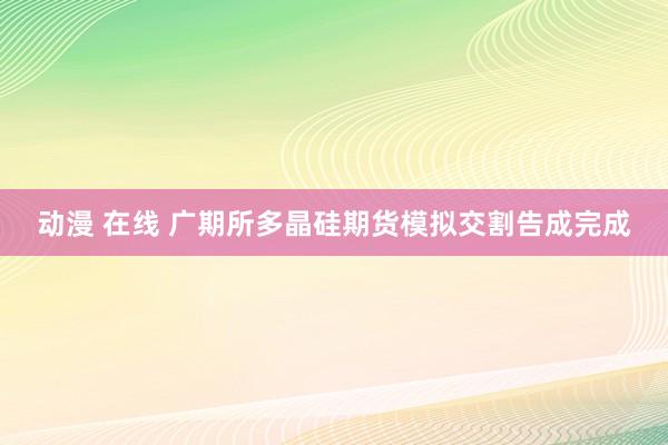 动漫 在线 广期所多晶硅期货模拟交割告成完成