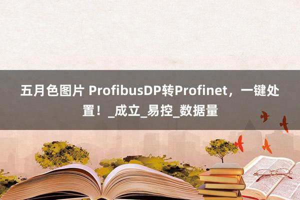五月色图片 ProfibusDP转Profinet，一键处置！_成立_易控_数据量
