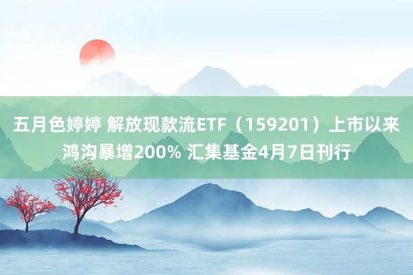 五月色婷婷 解放现款流ETF（159201）上市以来鸿沟暴增200% 汇集基金4月7日刊行