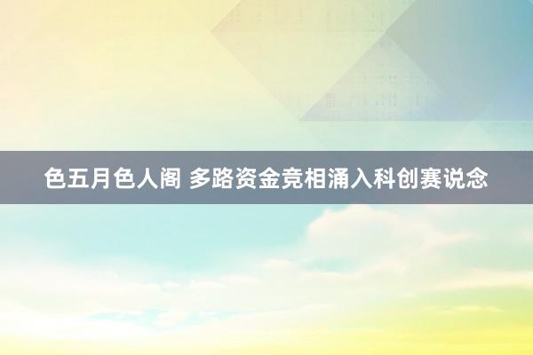 色五月色人阁 多路资金竞相涌入科创赛说念