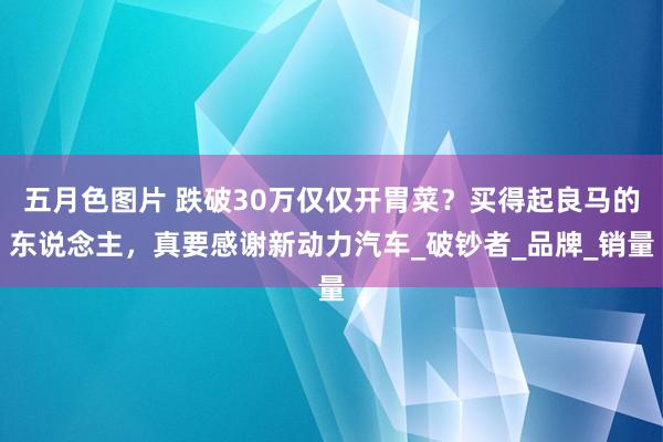 五月色图片 跌破30万仅仅开胃菜？买得起良马的东说念主，真要感谢新动力汽车_破钞者_品牌_销量